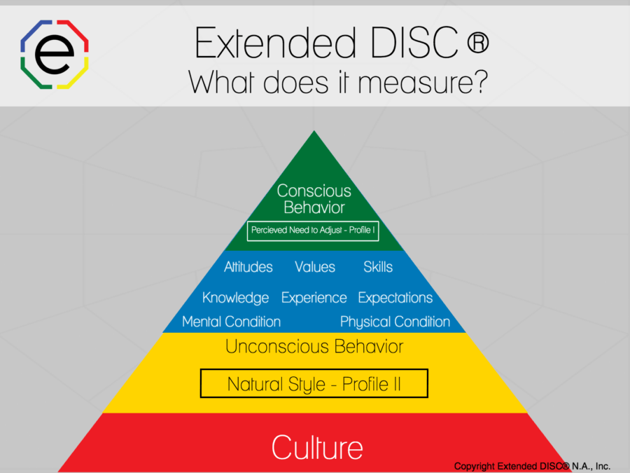 What does DISC measure? infographic