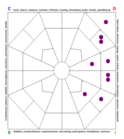 DISC Team Map for Top Sales Professionals